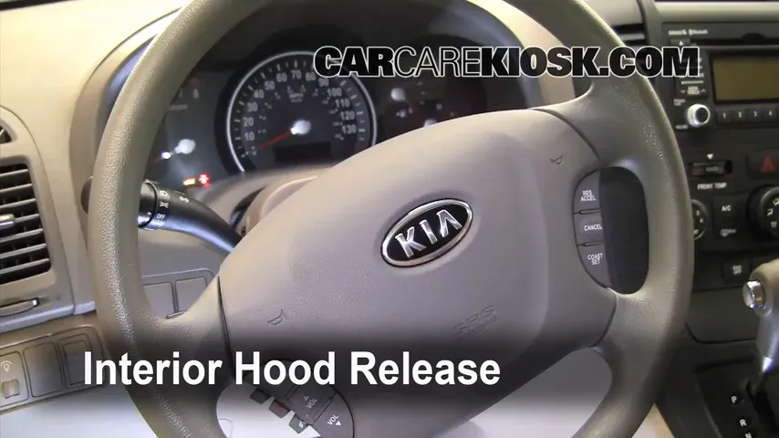 2010 Kia Sedona LX 3.8L V6 Hood